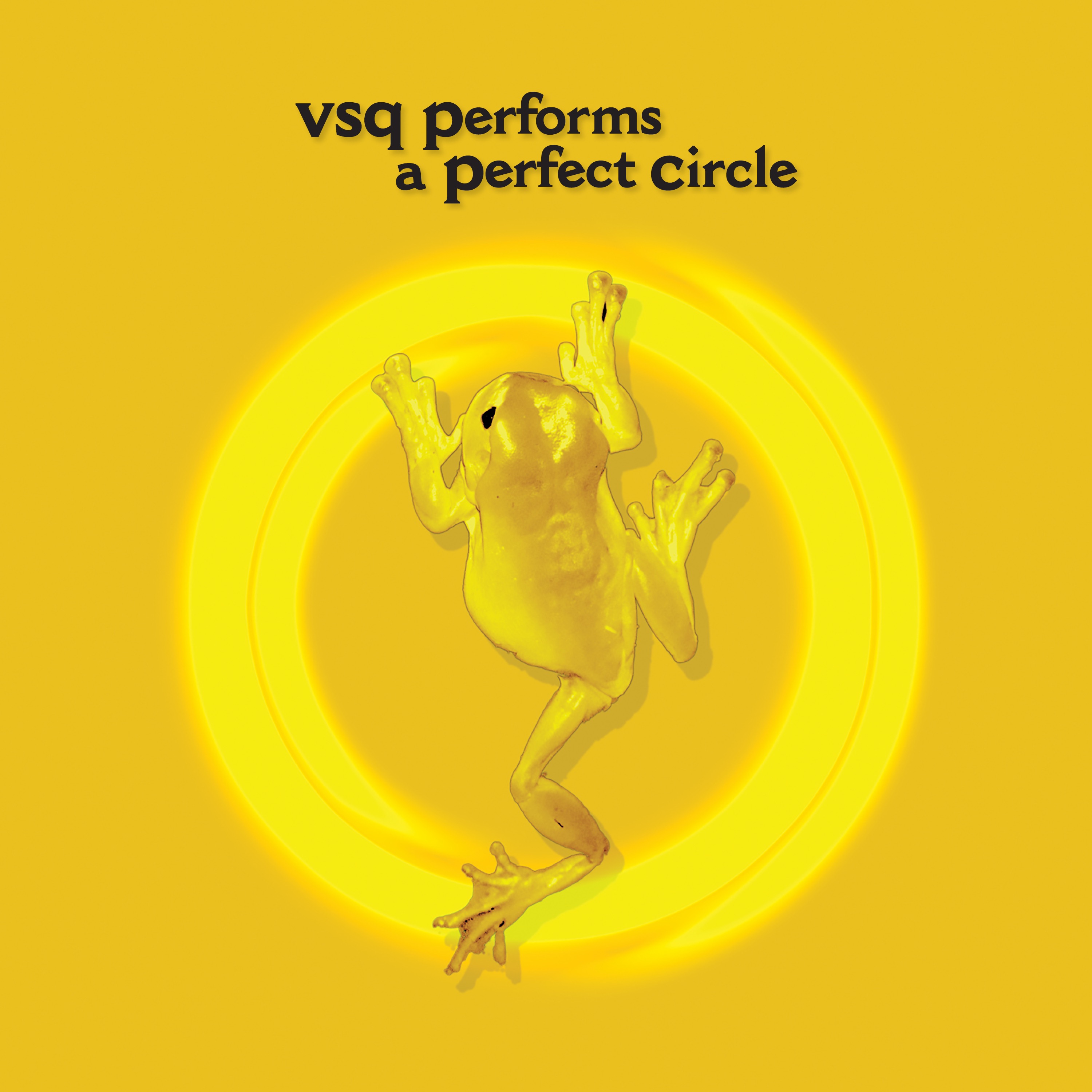 VSQ Performs A Perfect Circle album cover