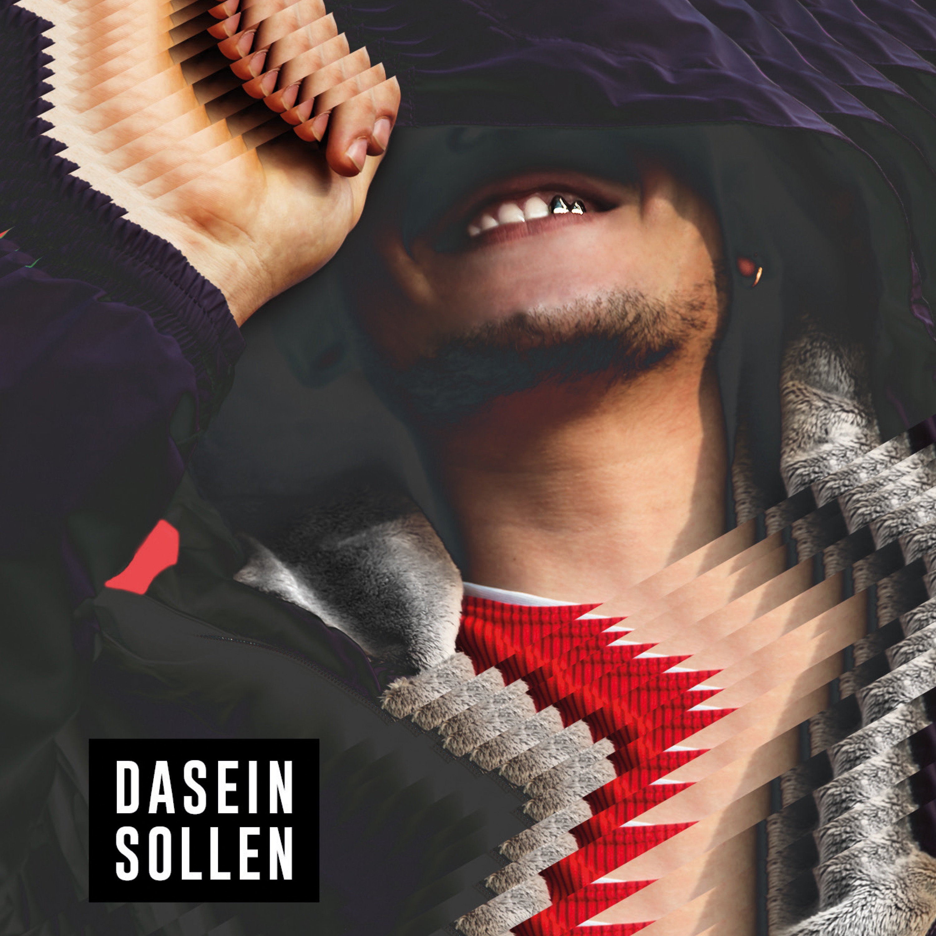 Dasein Sollen album cover
