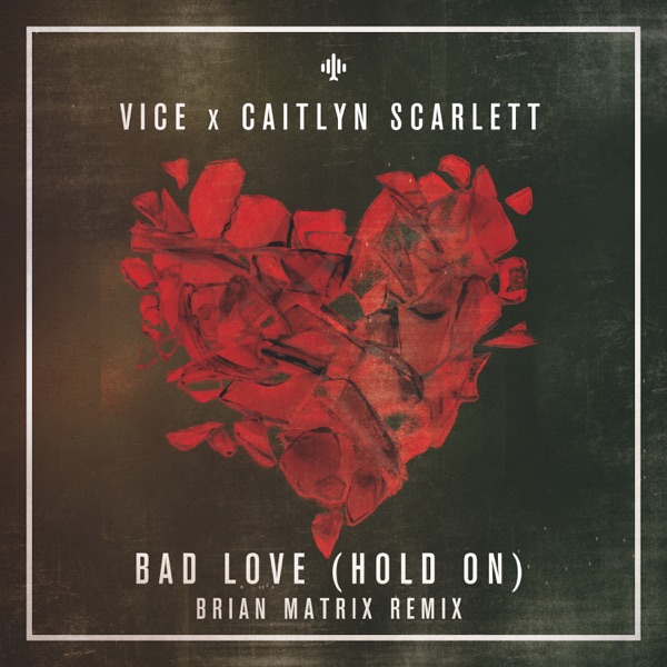 Bad Love (Brian Matrix Remix) - Single album cover