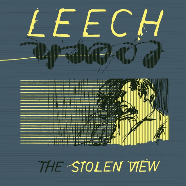 The Stolen View album cover