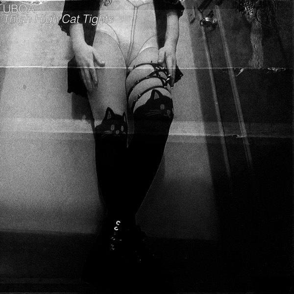 Thigh High Cat Tights - Single album cover
