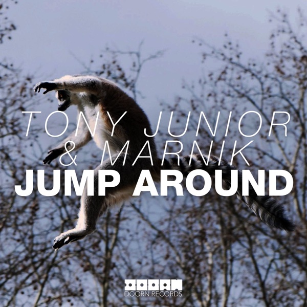 Jump Around - Single album cover