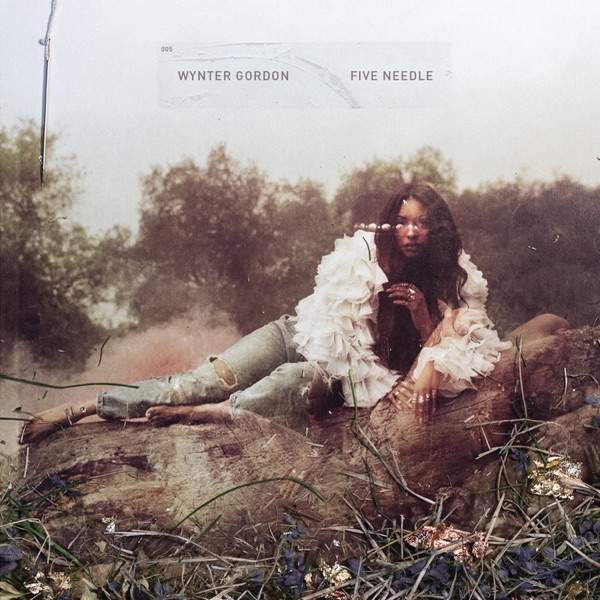 Five Needle - EP album cover