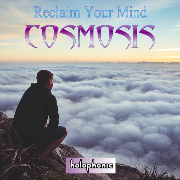 Reclaim Your Mind - Single album cover