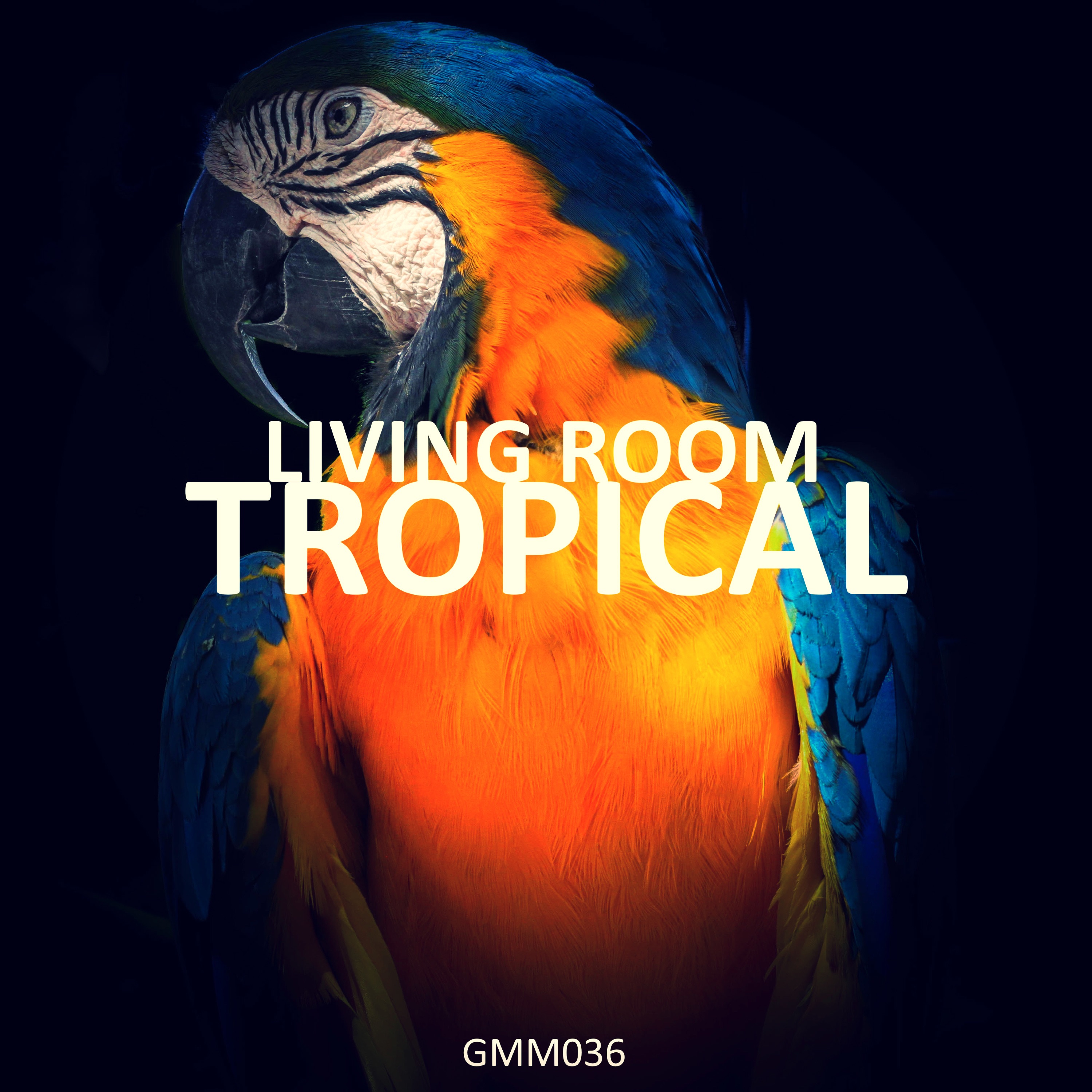 Tropical album cover