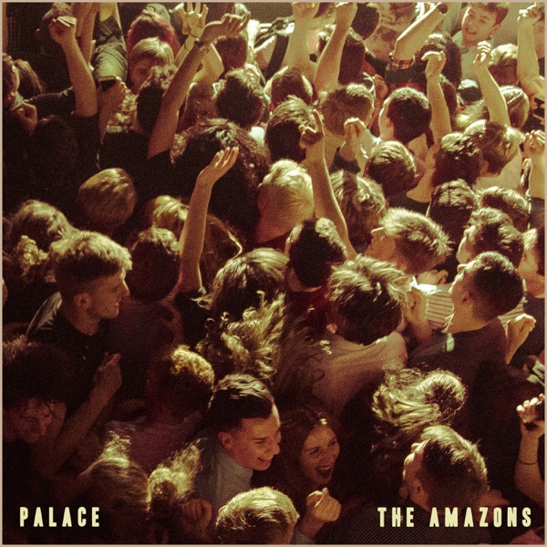 Palace (Single Version) album cover