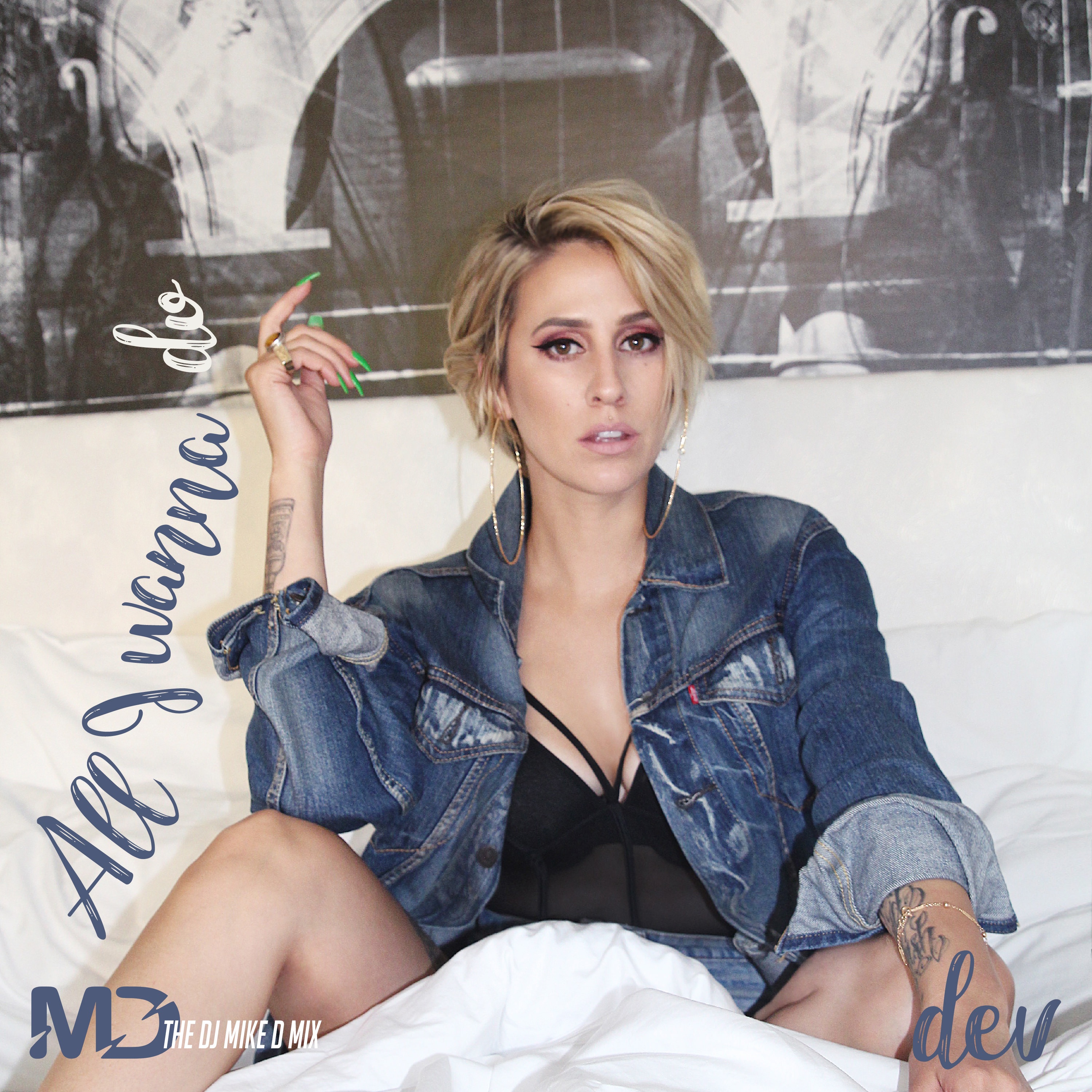 All I Wanna Do (DJ Mike D Mix) - Single album cover