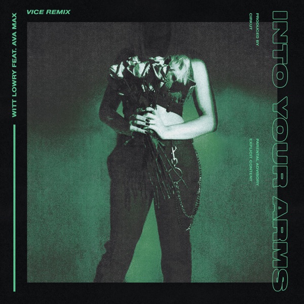 Into Your Arms (feat. Ava Max) [Vice Remix] - Single album cover