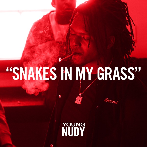 Snakes In My Grass - Single album cover