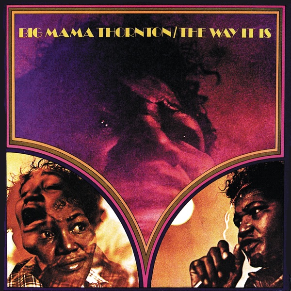 The Way It Is album cover