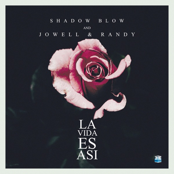 La Vida Es Así (Remix) - Single album cover