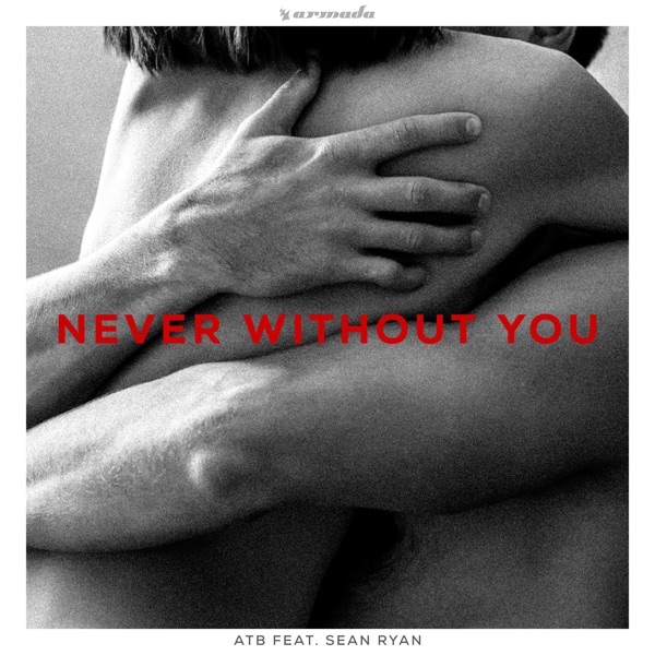 Never Without You (feat. Sean Ryan) - Single album cover