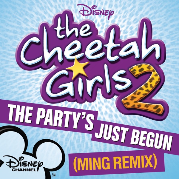 The Party's Just Begun (Ming Remix) - Single album cover