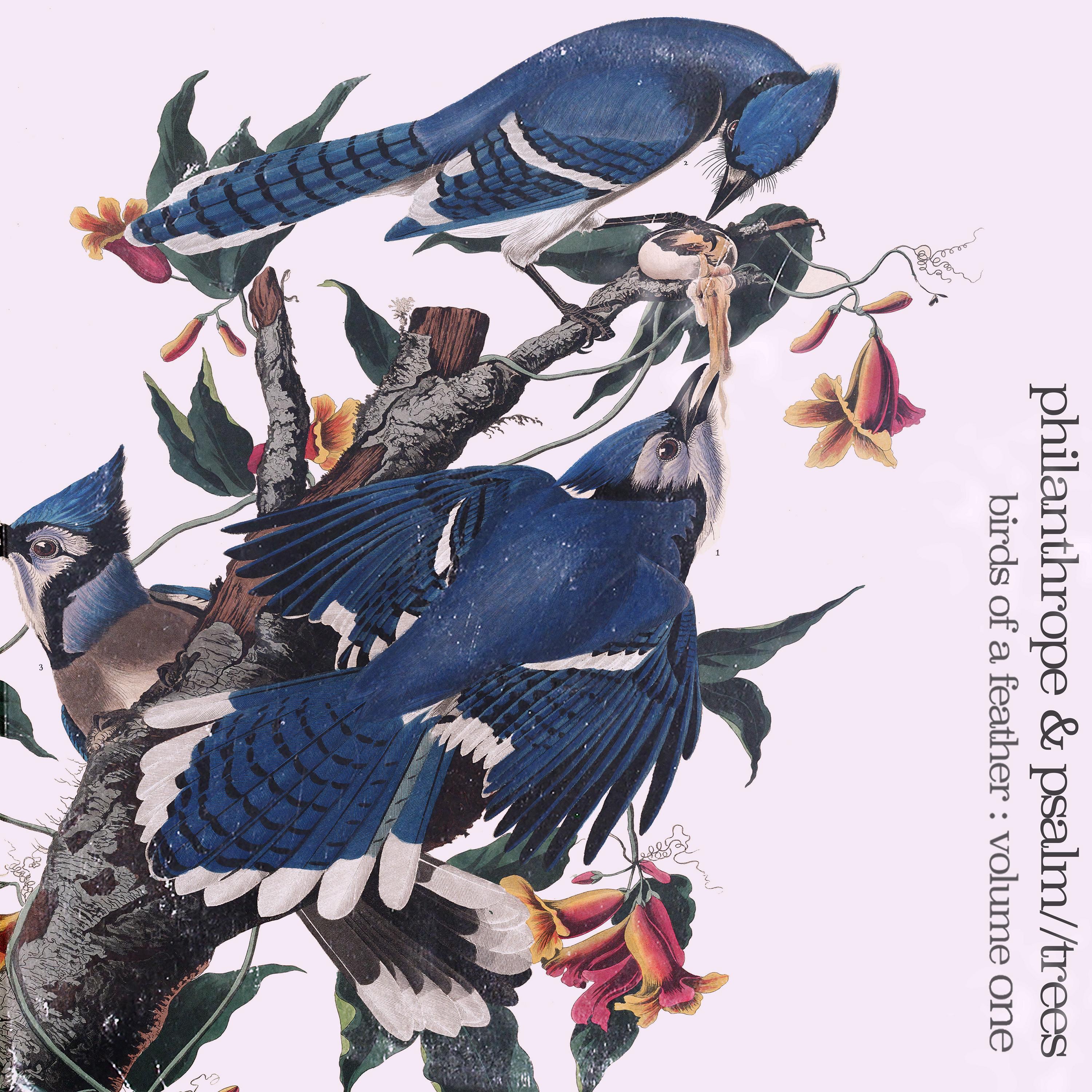 Birds of a Feather, Vol. 1 album cover