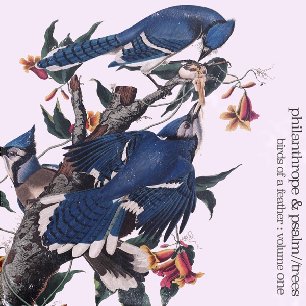 Birds of a Feather, Vol. 1 album cover