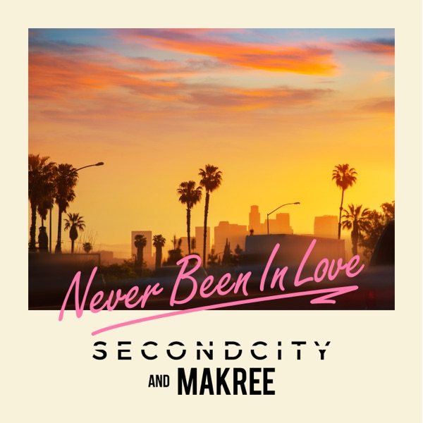 Never Been In Love - Single album cover