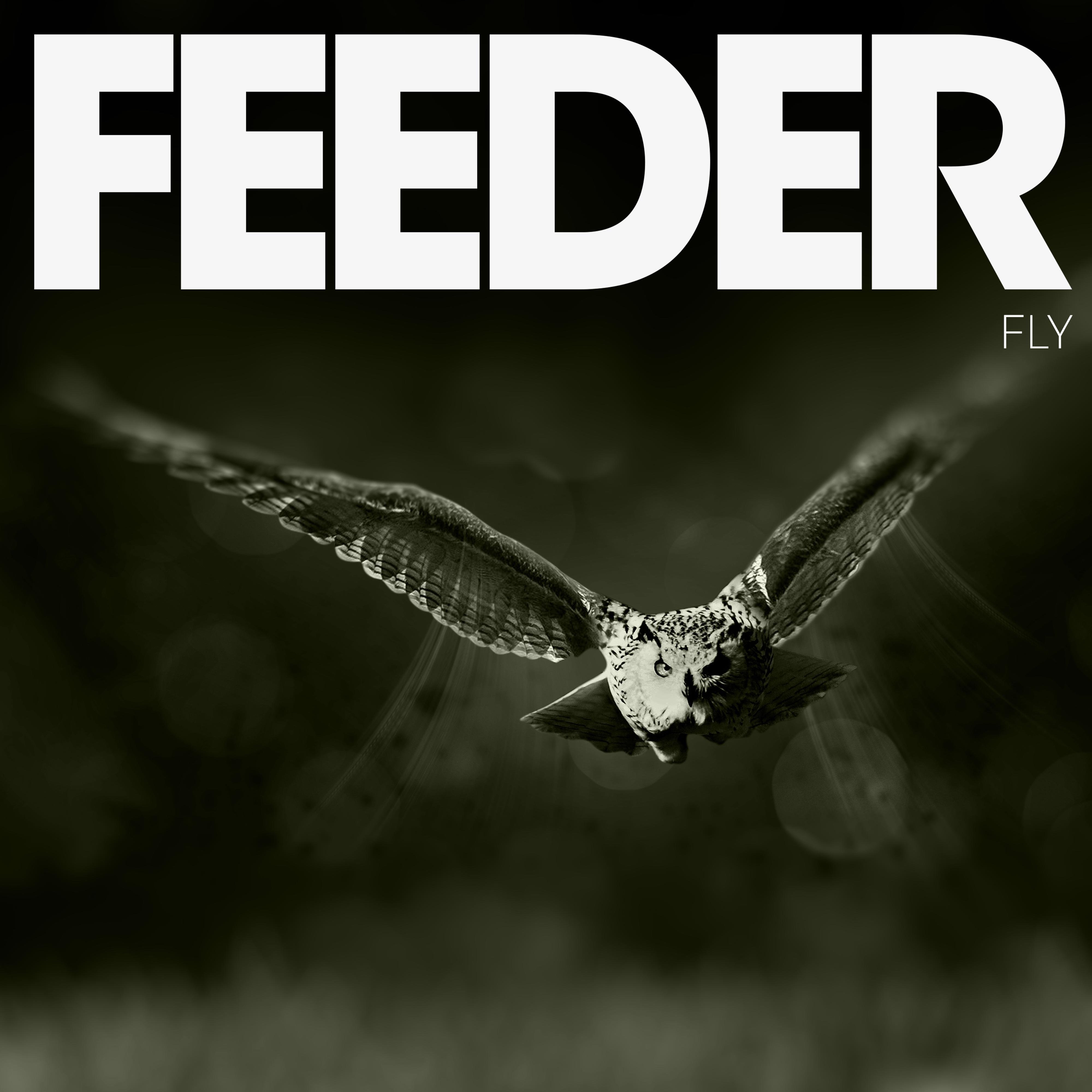 Fly - Single album cover