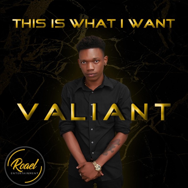 This Is What I Want - Single album cover
