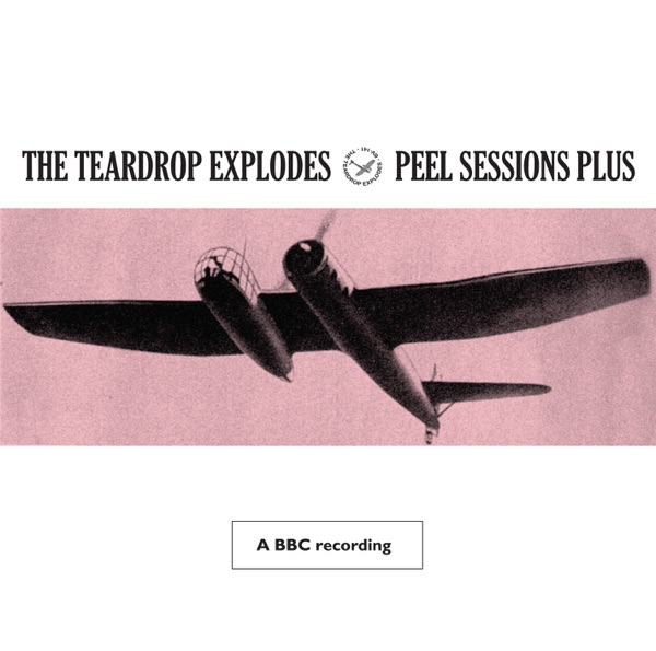 Peel Sessions Plus album cover