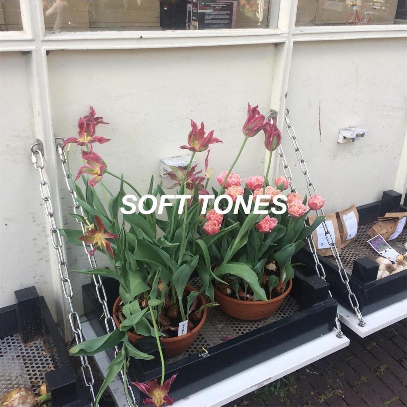 Soft Tones - Single album cover