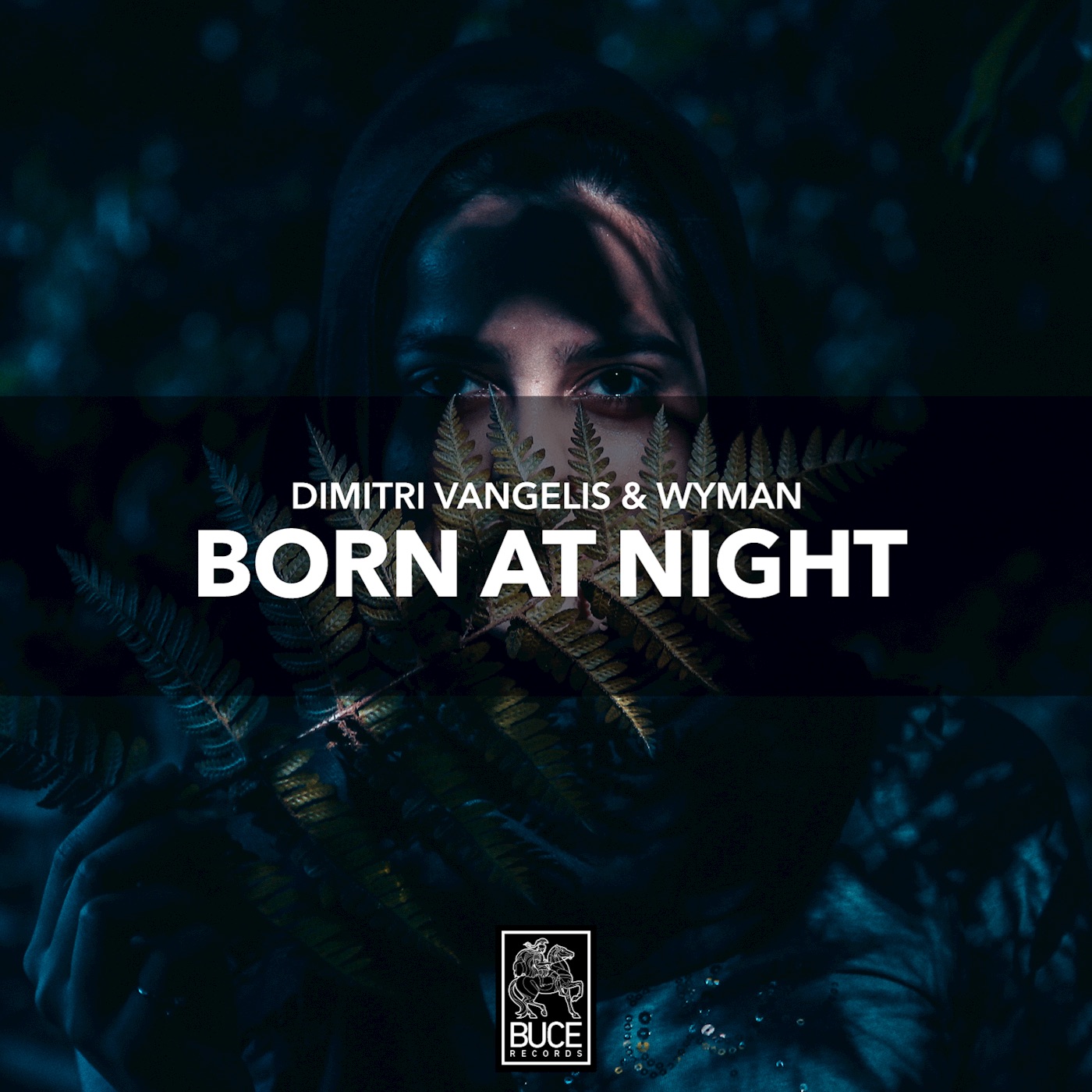 Born at Night - Single album cover