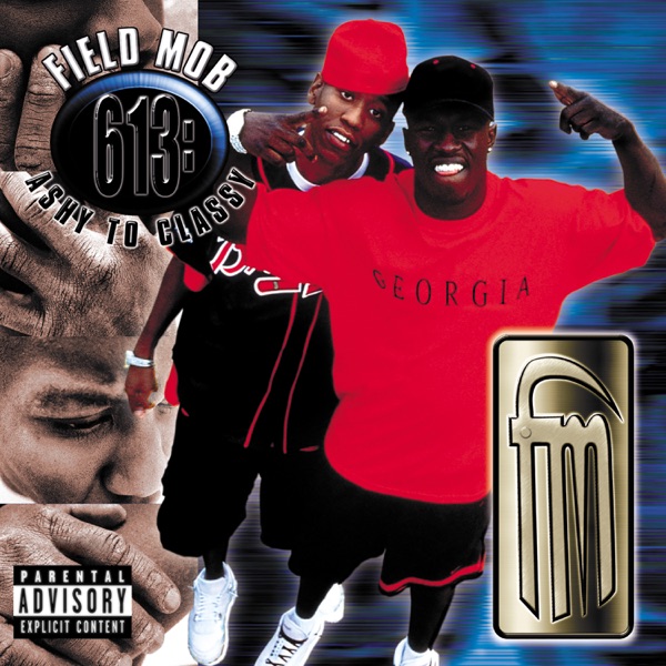 613: Ashy To Classy album cover