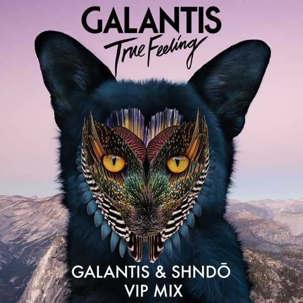 True Feeling (Galantis & shndō VIP Mix) - Single album cover