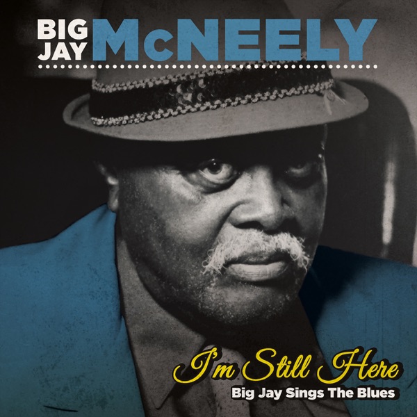 I'm Still Here: Big Jay Sings the Blues album cover