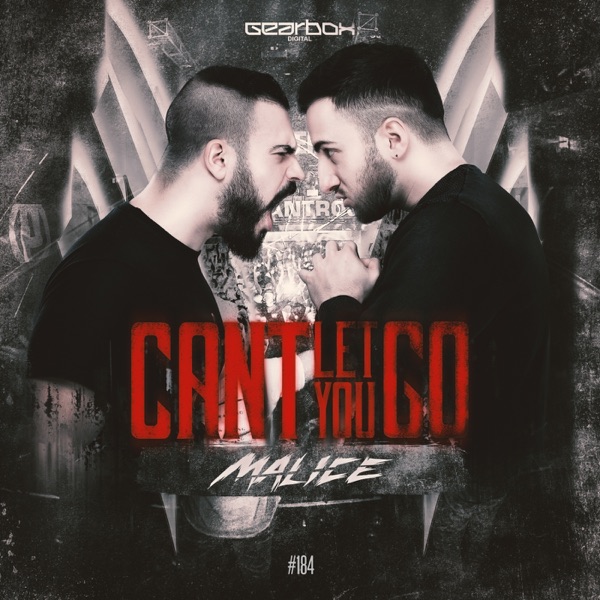 Can't Let You Go (Radio Mix) - Single album cover