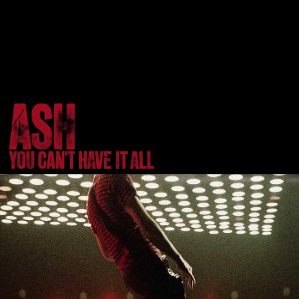 You Can't Have It All - Single album cover
