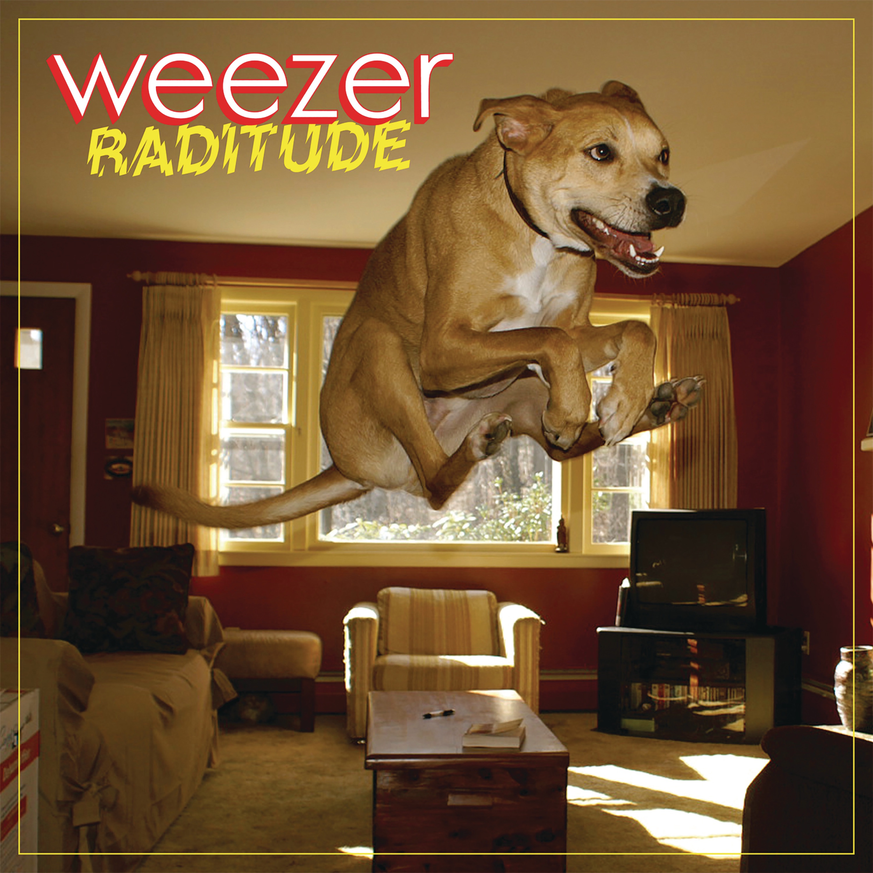 Raditude album cover