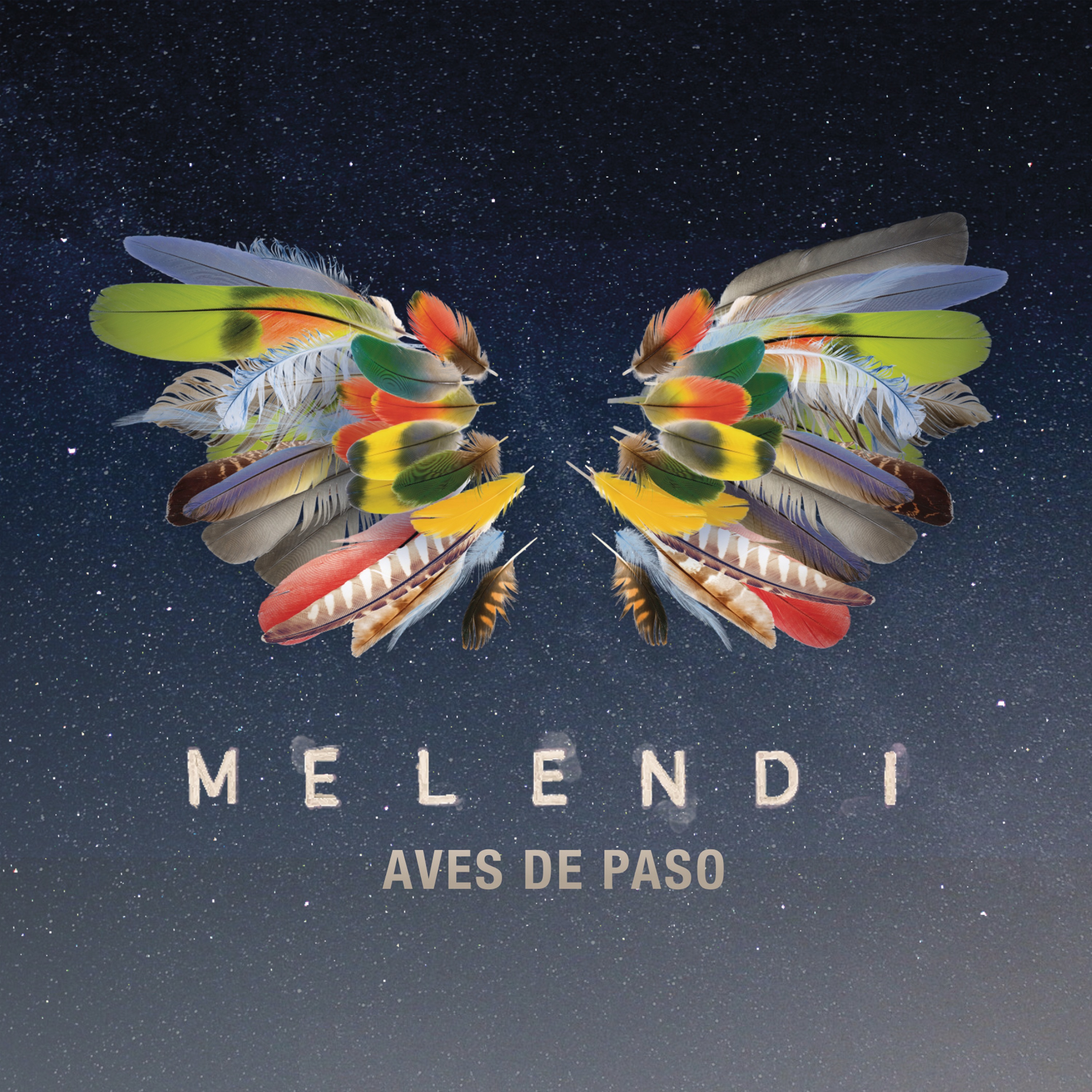 Aves de Paso - Single album cover