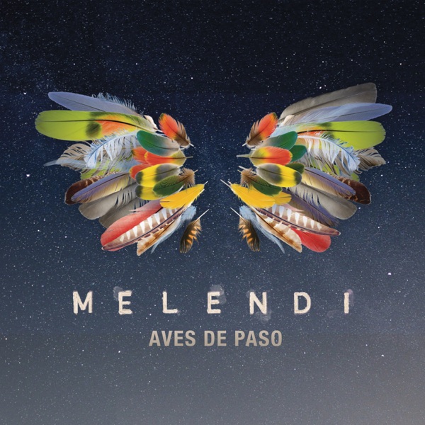 Aves de Paso - Single album cover
