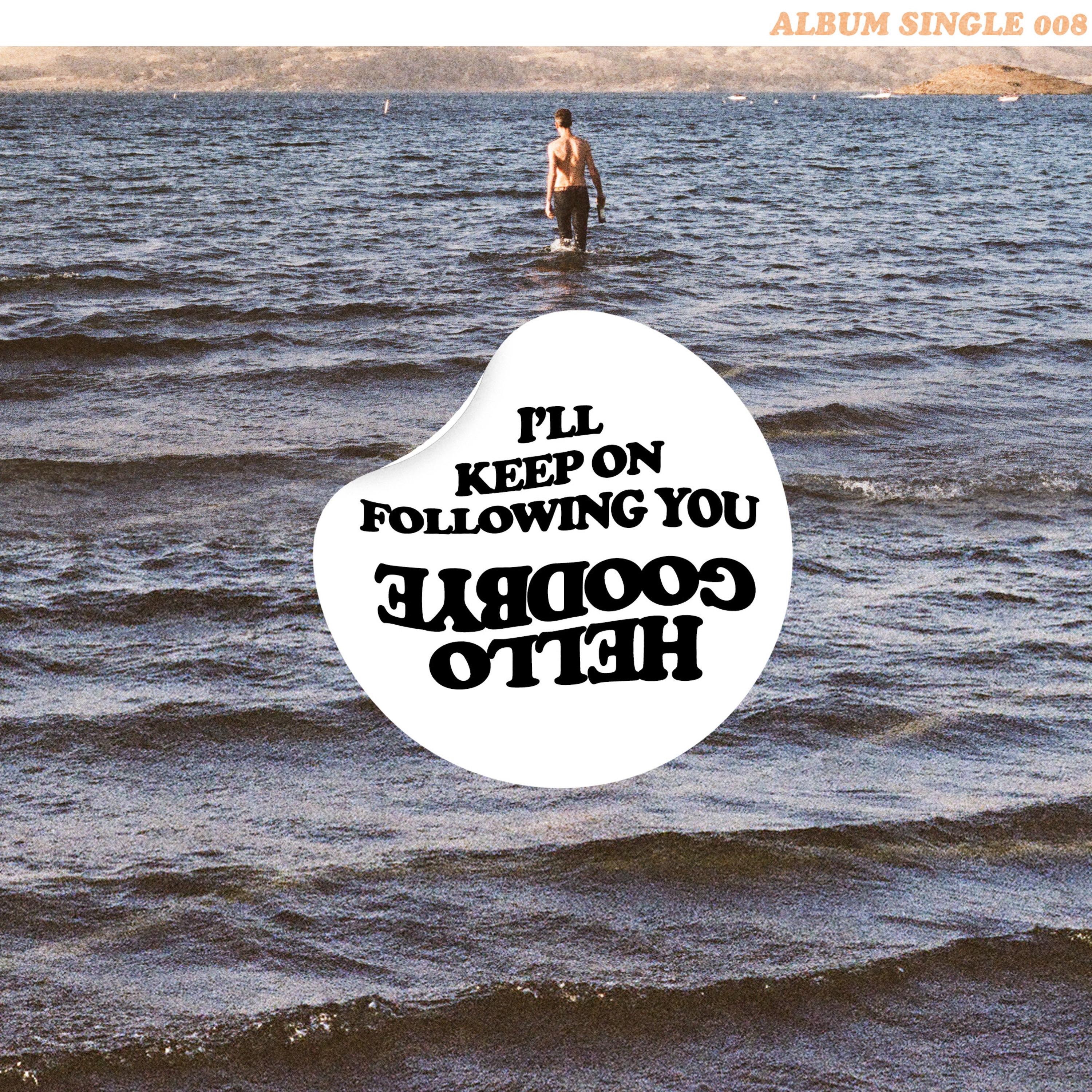 I'll Keep on Following You - Single album cover