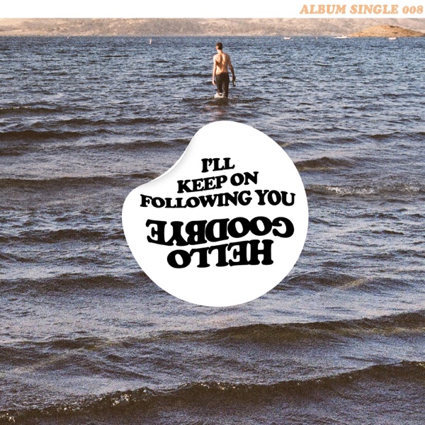 I'll Keep on Following You - Single album cover