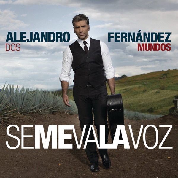 Se Me Va la Voz - Single album cover