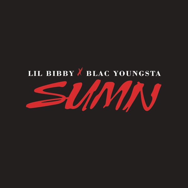 Sumn (feat. Blac Youngsta) - Single album cover
