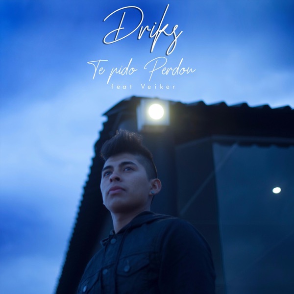 Te Pido Perdon (feat. Veiker) - Single album cover