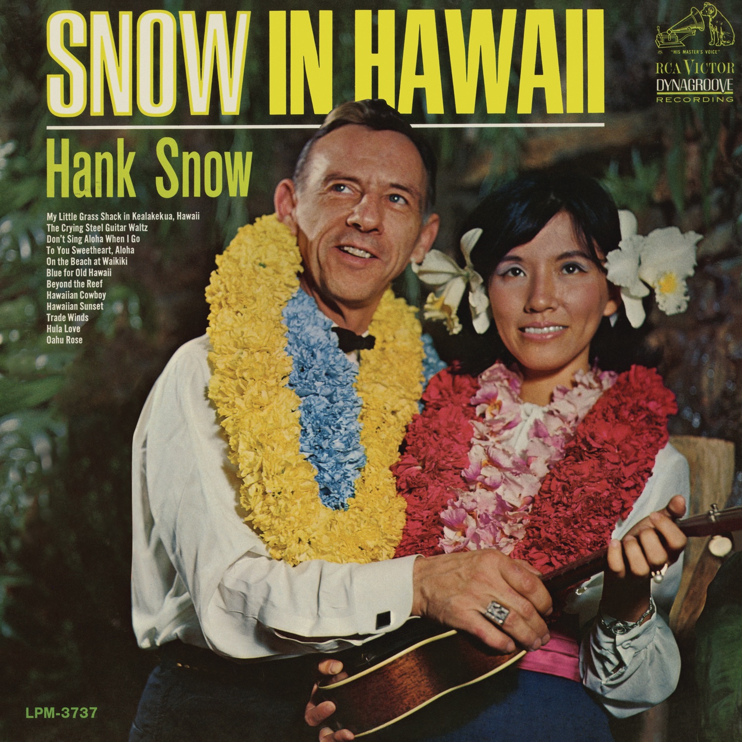 Snow In Hawaii album cover