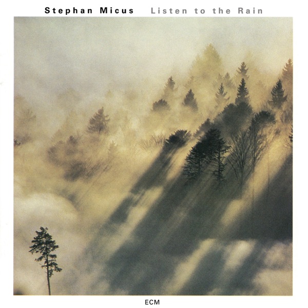 Listen to the Rain album cover