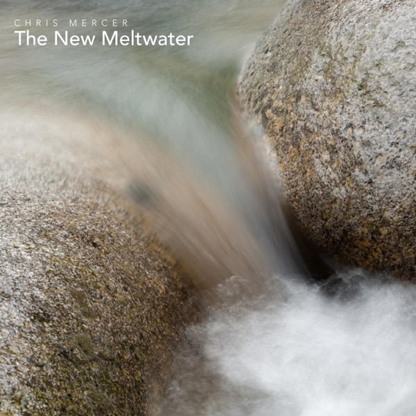 The New Meltwater - Single album cover