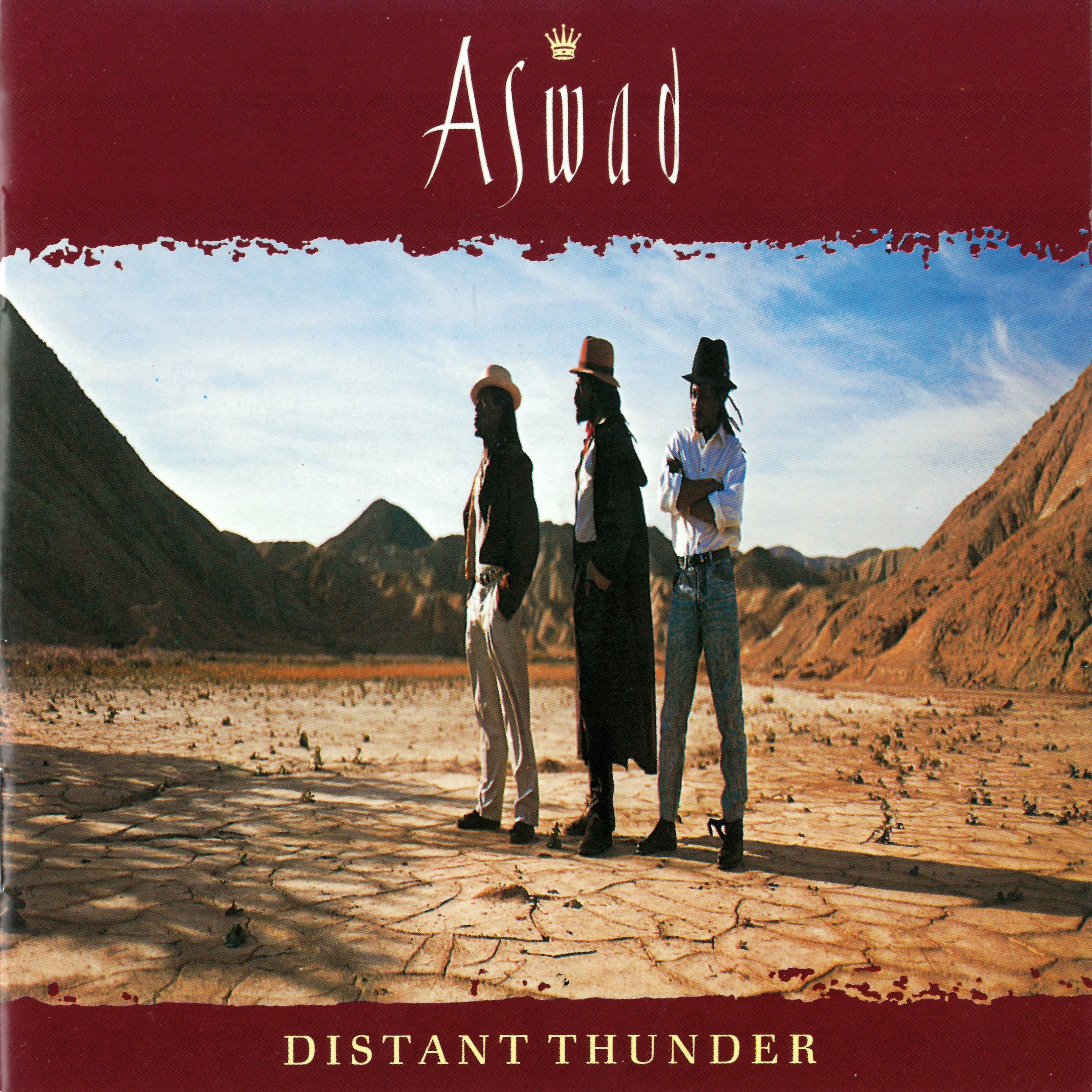 Distant Thunder album cover