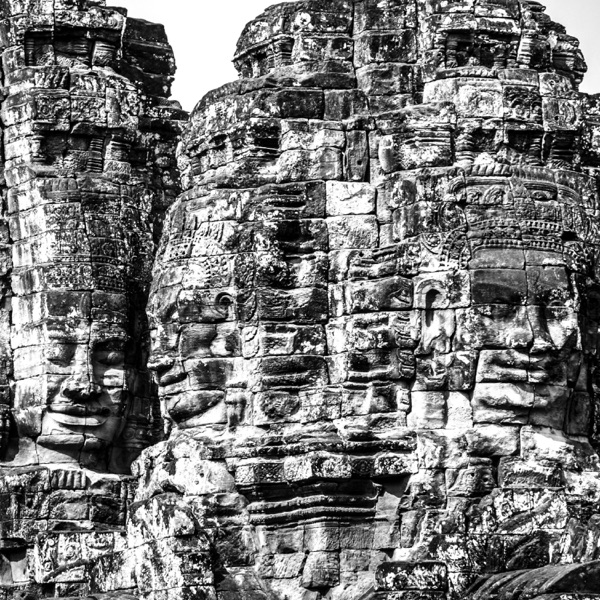 Turn to Gaia - Single album cover