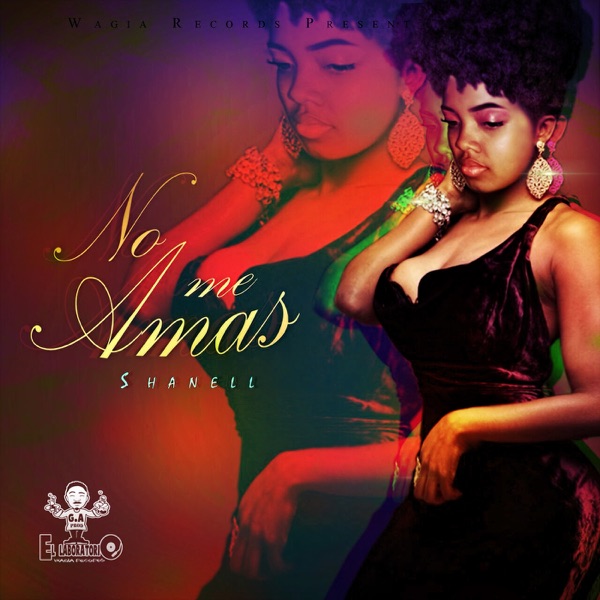 No Me Amas - Single album cover