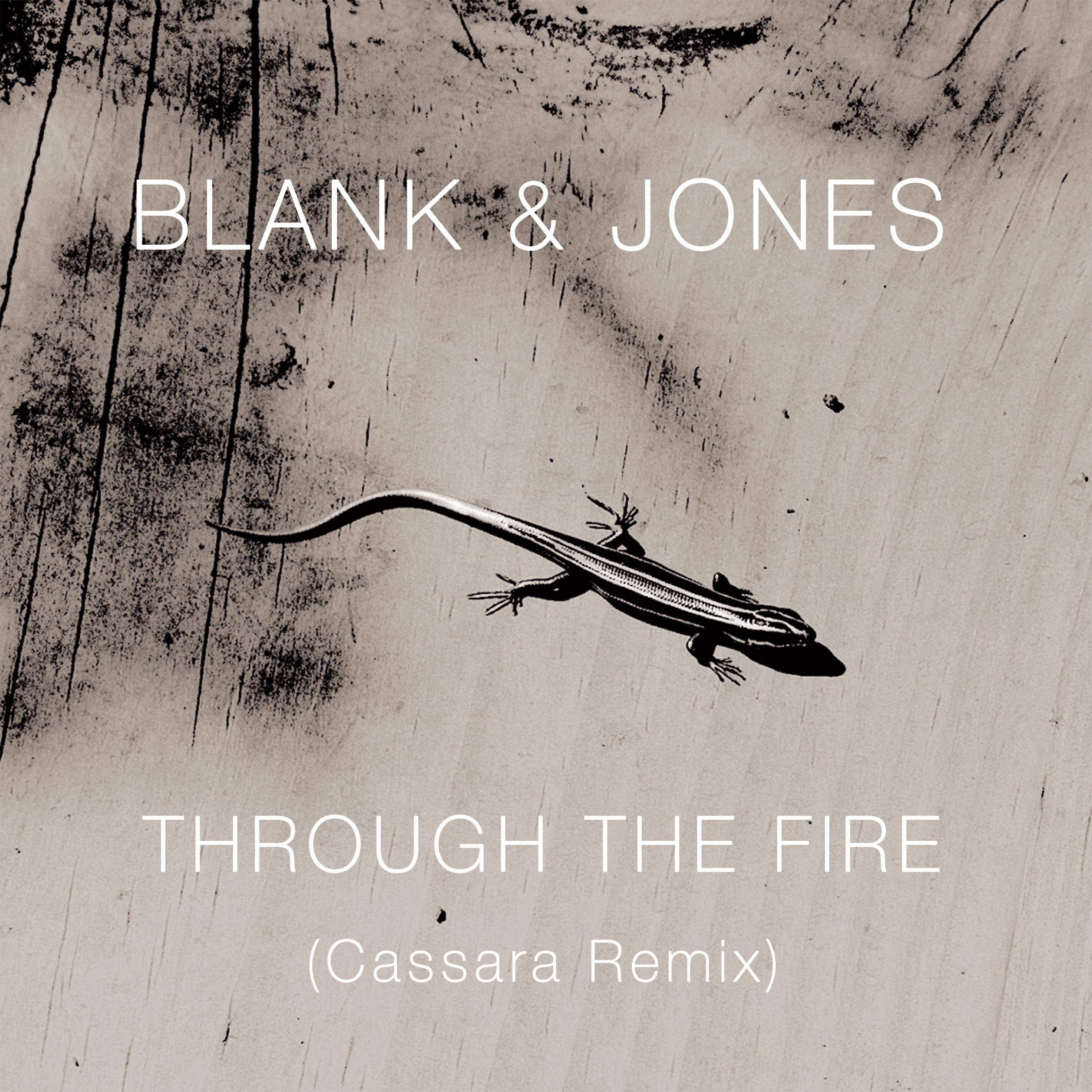 Through the Fire (Cassara Remixes) - Single album cover