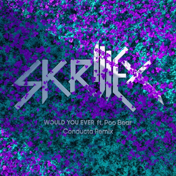 Would You Ever (Conducta Remix) - Single album cover