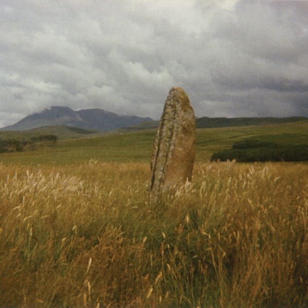 In Search of Spaces album cover