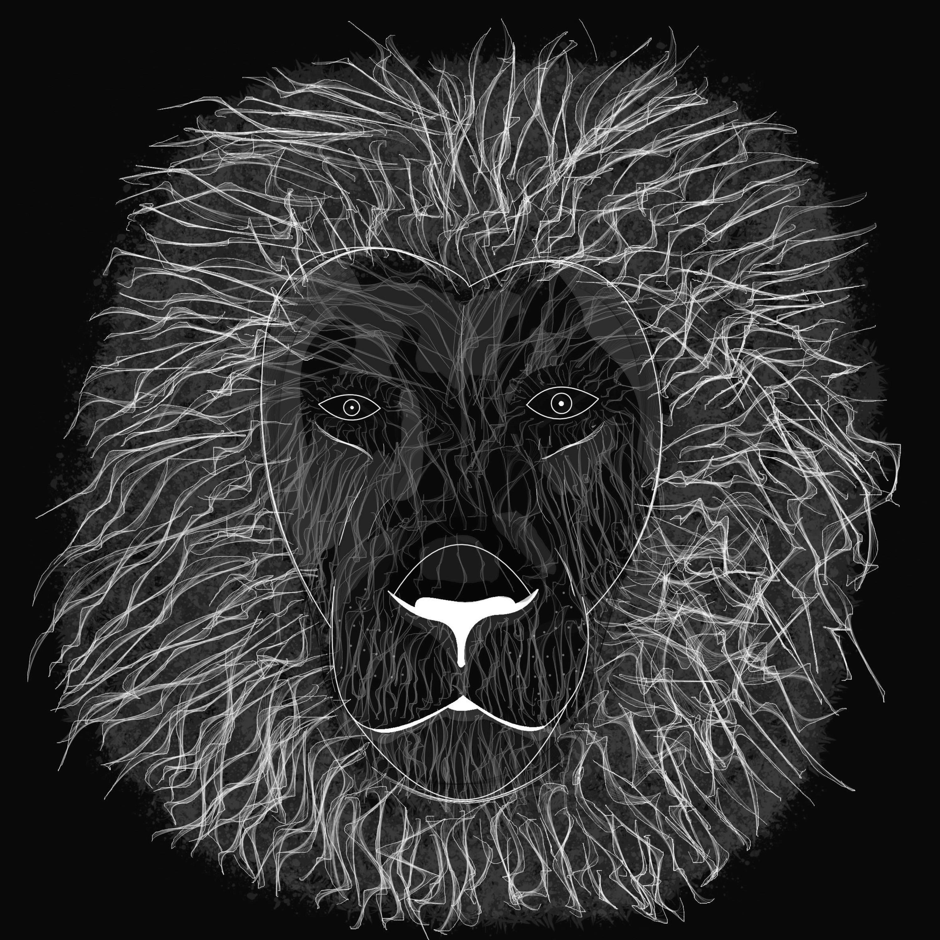 Lion - Single album cover