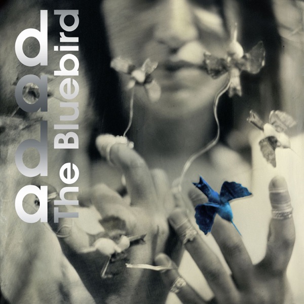 The Bluebird - Single album cover