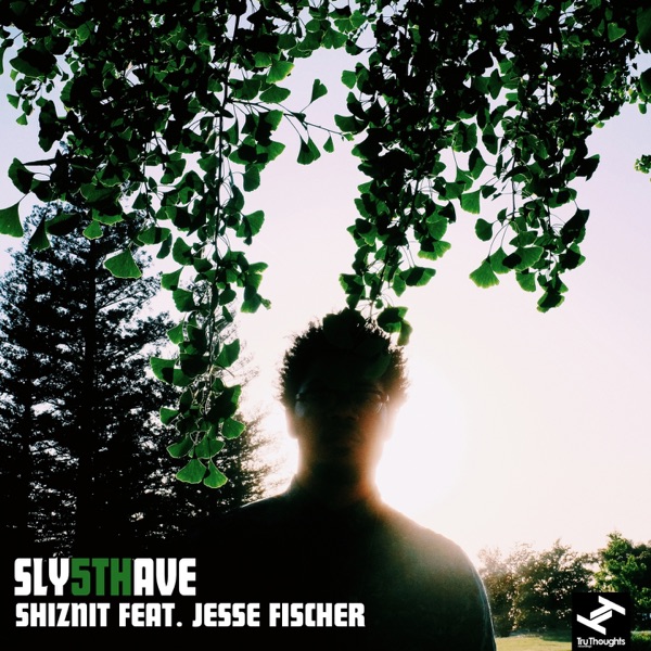 Shiznit (feat. Jesse Fischer) - Single album cover